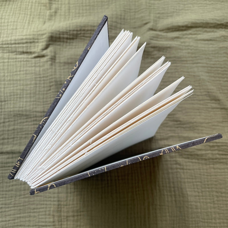 Large Cactus Book