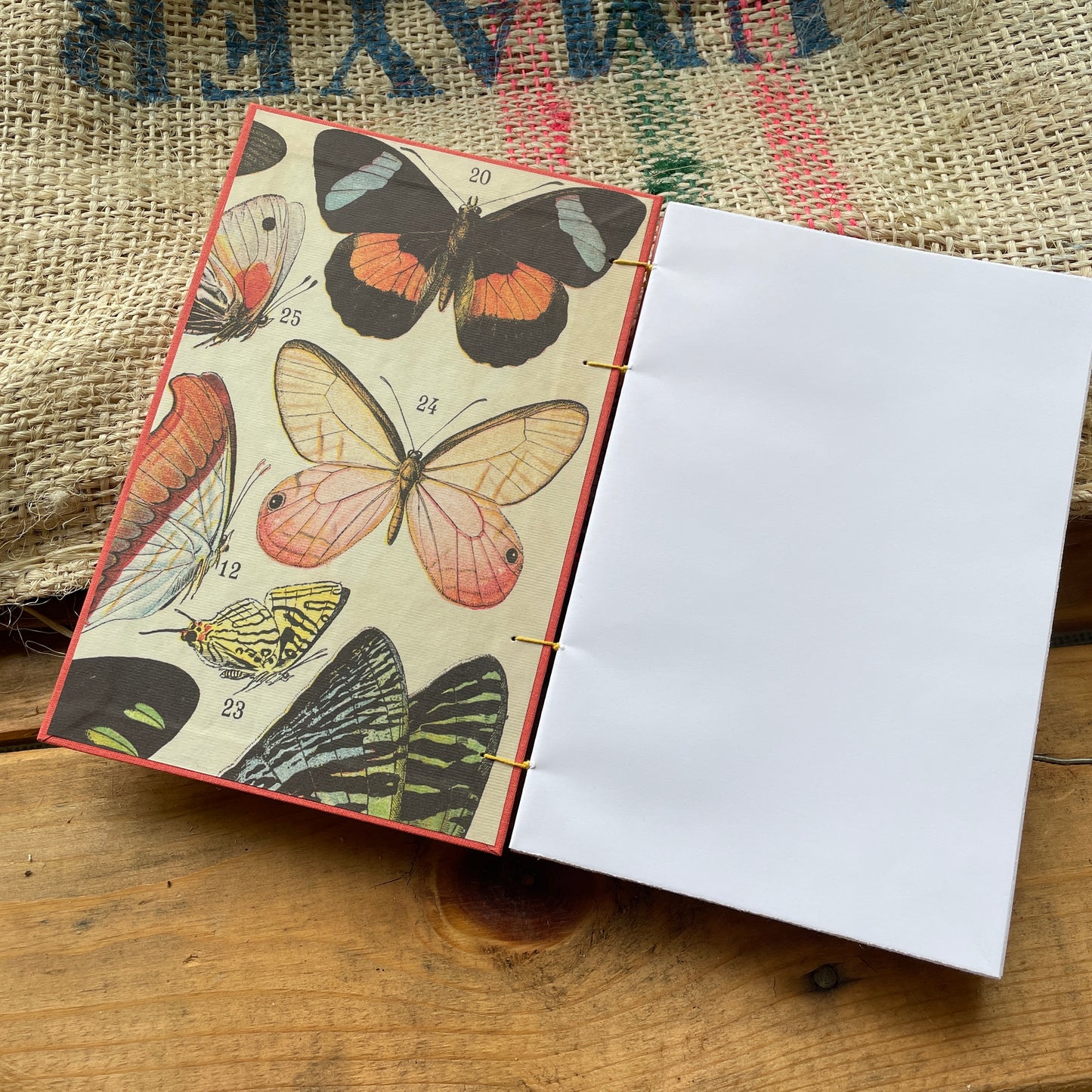 Large Coral Butterfly Book