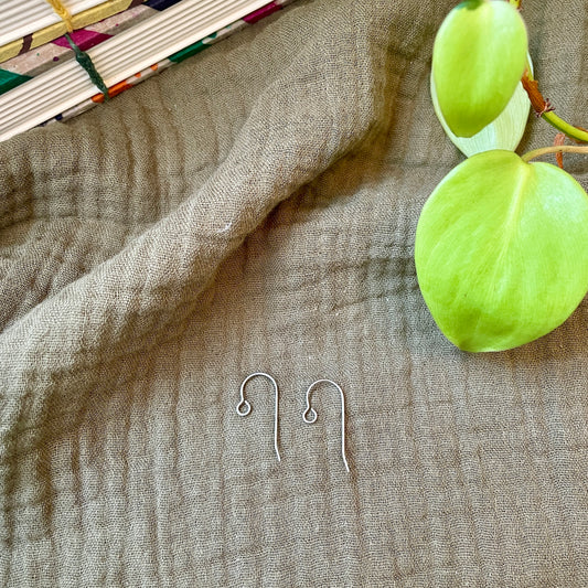 ADD-ON: Titanium Ear Wires