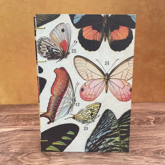 Large Butterfly Book