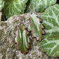 Green Oak Leaf Earrings