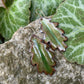 Green Oak Leaf Earrings
