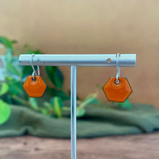 Enamel Hexagon Earrings