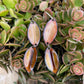 Double Peach & Brown Autumn Leaf Earrings