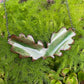 Oak Leaf Necklace